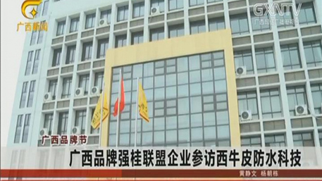 廣西品牌強(qiáng)桂聯(lián)盟企業(yè)參訪西牛皮