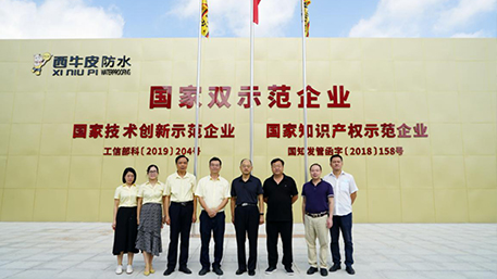國家知識產(chǎn)權(quán)局知識產(chǎn)權(quán)發(fā)展研究中心一行走訪西牛皮防水，實地調(diào)研科技創(chuàng)新帶來的發(fā)展新成果